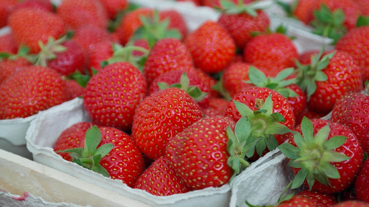 Welche Vitamine brauchen wir wirklich täglich?