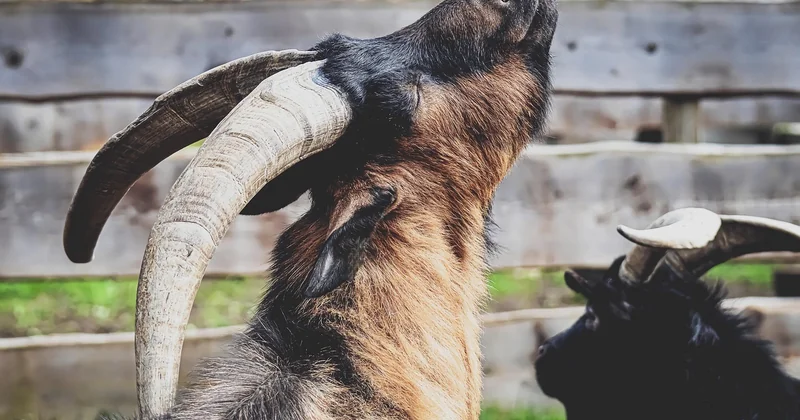 Iffeldorf und die Osterseen: Ausgangspunkt und praktisches