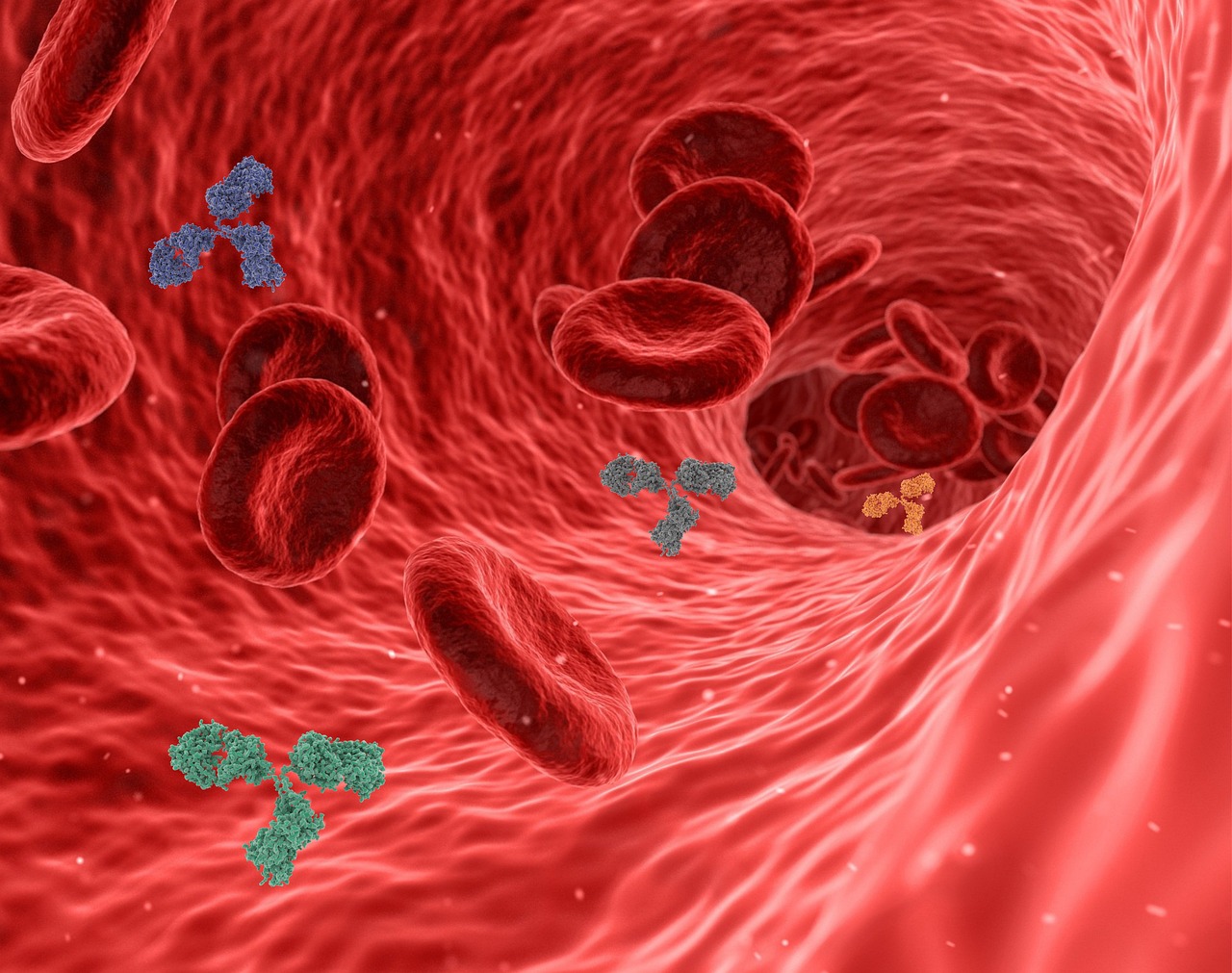 erfahren sie alles über das immunsystem, seine funktionen und wie sie es stärken können, um ihre gesundheit zu schützen und krankheiten vorzubeugen.