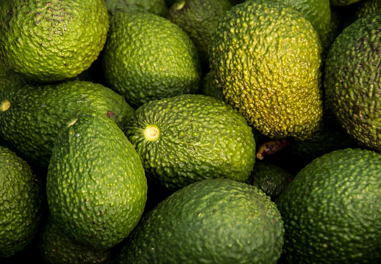 entdecken sie die welt der superfoods! diese nährstoffreichen lebensmittel bieten eine fülle von gesundheitsvorteilen und sind eine wunderbare ergänzung zu ihrer ernährung. verbessern sie ihr wohlbefinden mit einer vielzahl von leckeren und gesunden superfoods.