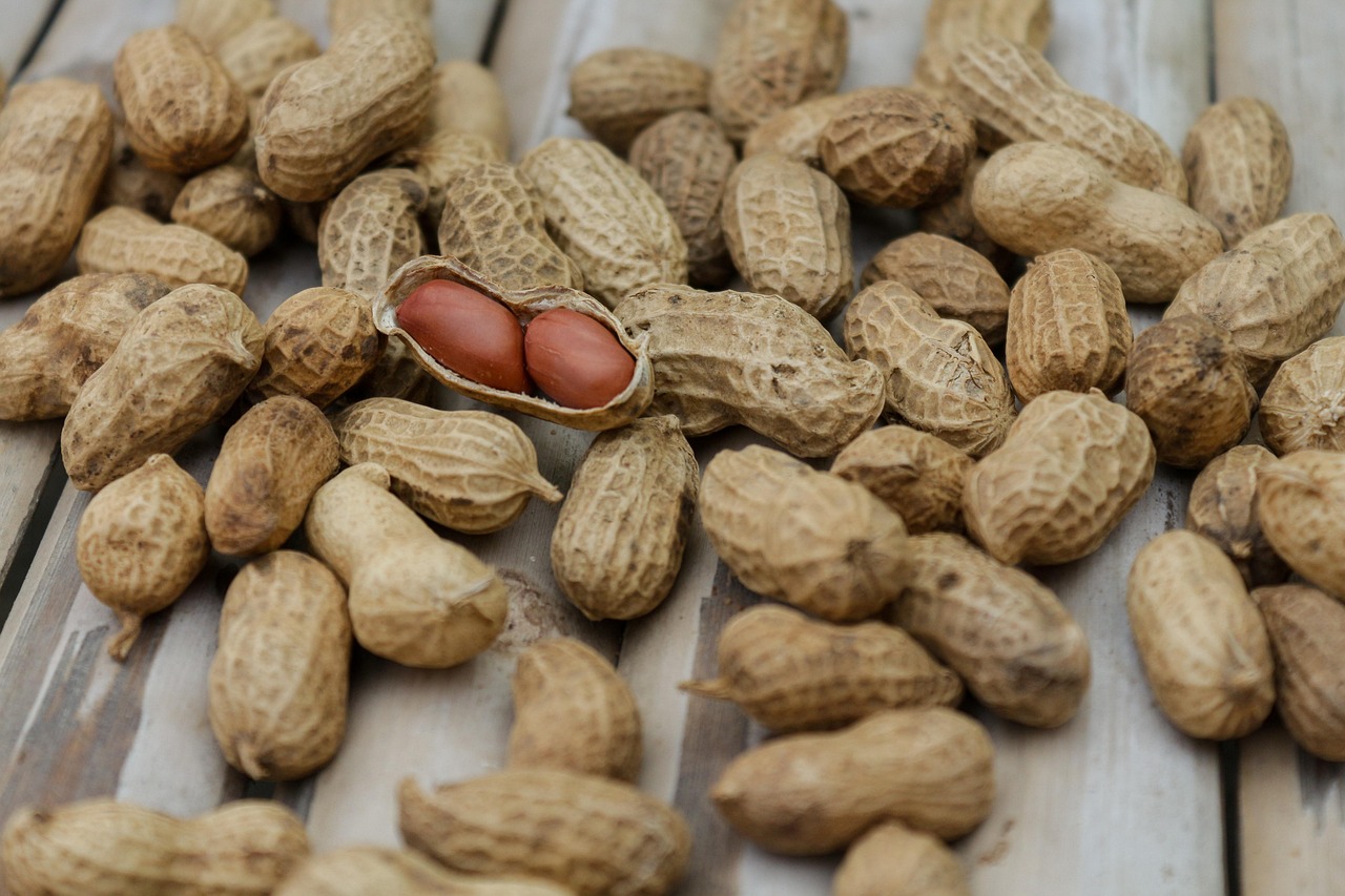 entdecken sie, wie eine ausgewogene ernährung ihre gesundheit und ihr wohlbefinden fördert. erfahren sie tipps für gesunde lebensmittel und die richtige nährstoffaufnahme für ihren alltag.