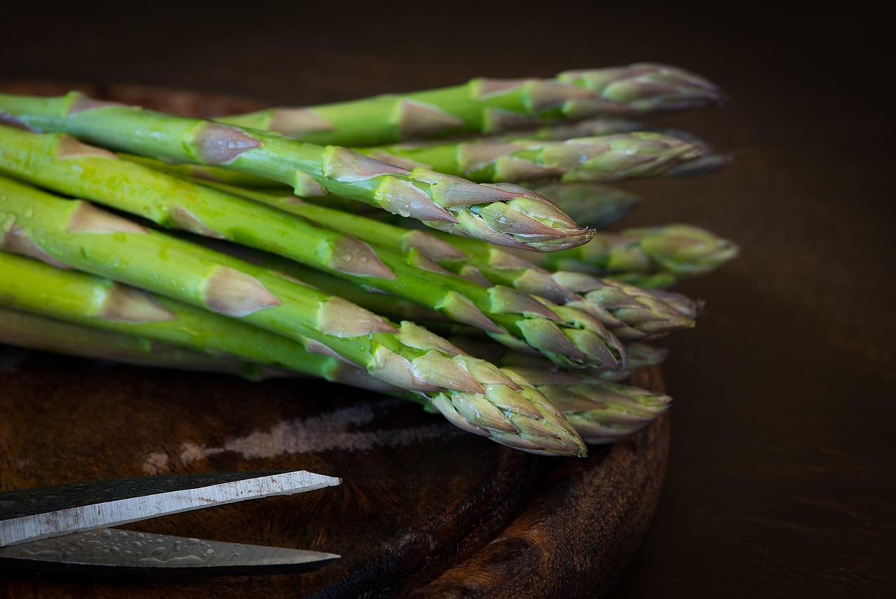 entdecken sie schnelle und gesunde rezepte: tipps für eine ausgewogene ernährung, einfache zubereitung und genuss ohne kompromisse. perfekt für den alltag!